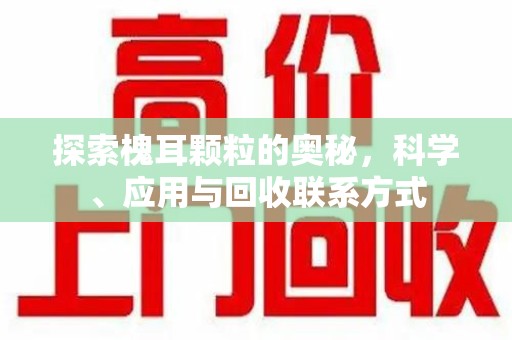 沈阳探索槐耳颗粒的奥秘，科学、应用与回收联系方式