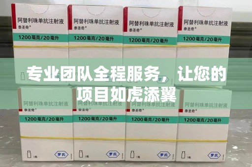 沈阳专业团队全程服务，让您的项目如虎添翼