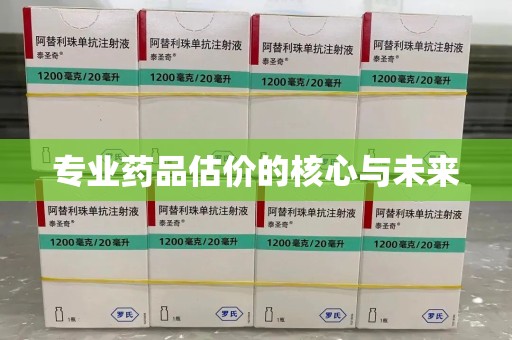 沈阳专业药品估价的核心与未来