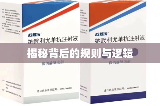 沈阳揭秘背后的规则与逻辑