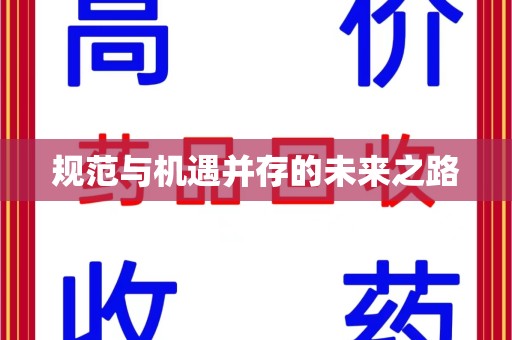 沈阳规范与机遇并存的未来之路