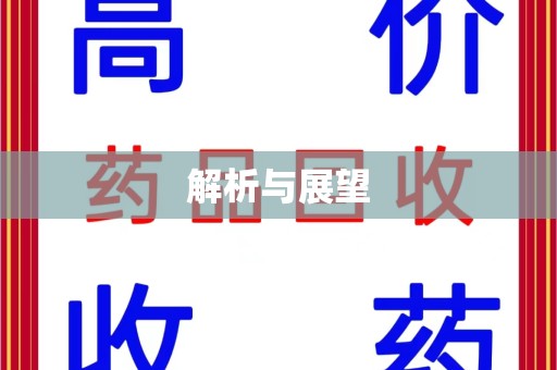 沈阳解析与展望