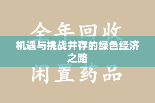 沈阳机遇与挑战并存的绿色经济之路